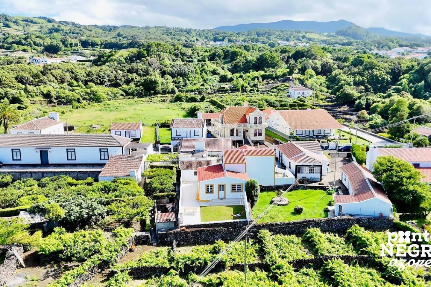 The Biscuit House By Pontanegraazores Прайя-да-Витория Экстерьер фото